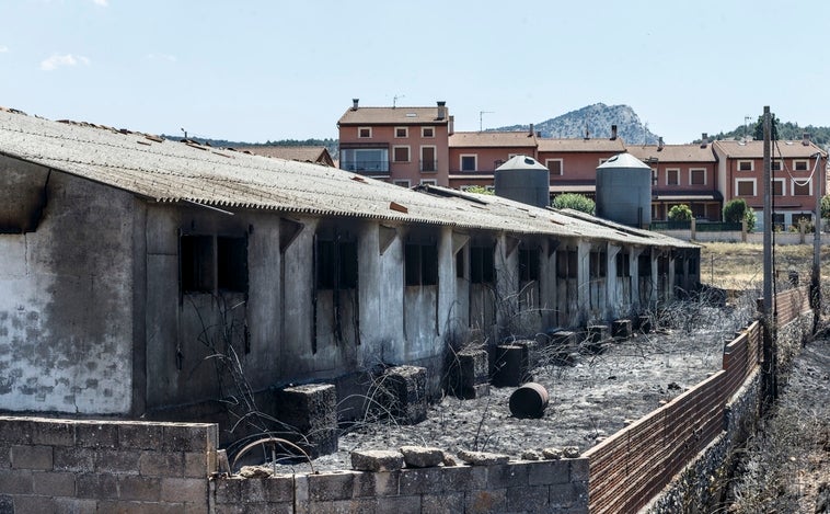 En vídeo: Así ha quedado Quintanilla del Coco (Burgos) tras el incendio