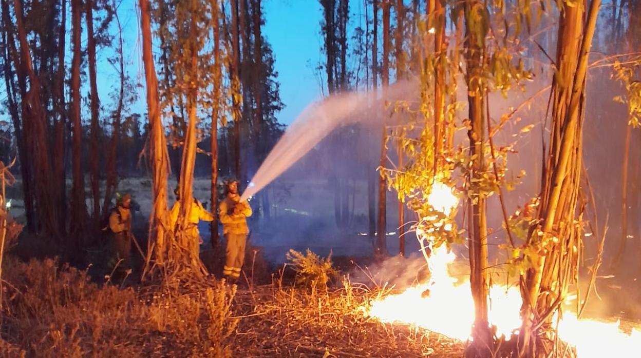 El Infoca estima en 1.100 las hectáreas quemadas en el incendio de Almonte
