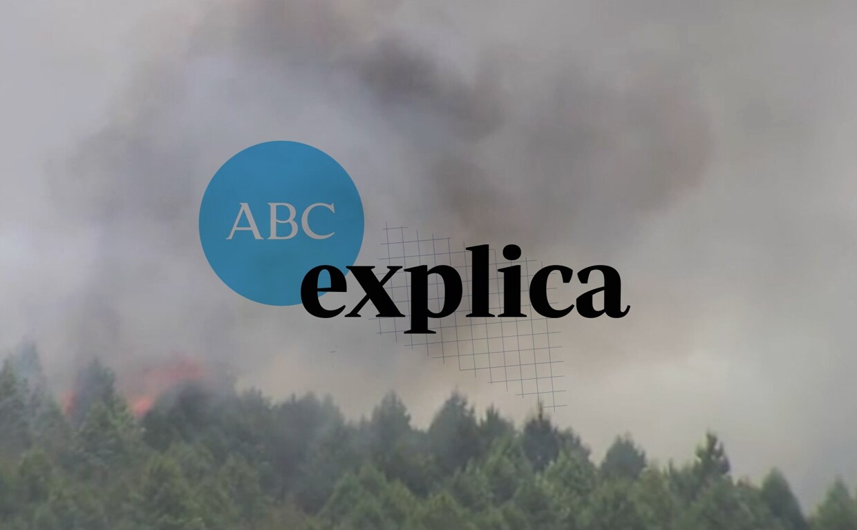 ABC EXPLICA: ¿Por qué hay incendios tan destructivos este verano?
