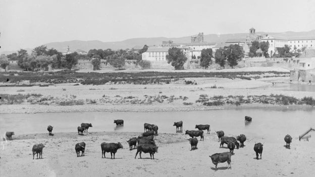 Cuando Córdoba se bañaba en el río Guadalquivir