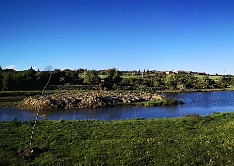 Imagen secundaria 1 - Estado actual del manantial y cómo se encontraba hace un par de años