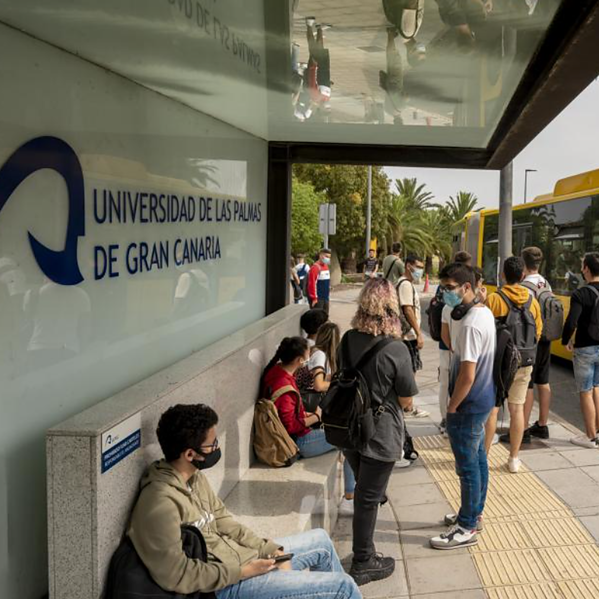 El descuento del 50% para las guaguas en Canarias es «una burla» de Sánchez