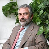 Imagen - «En julio los árboles se vinieron abajo»