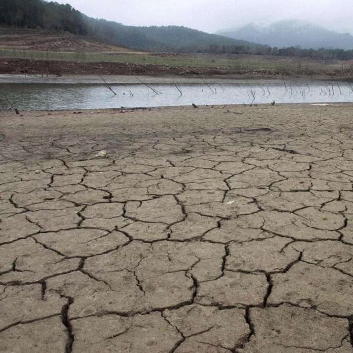 La sequía catalana y el trasvase del Ebro