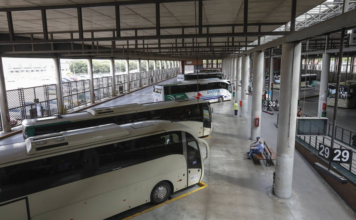 Las empresas andaluzas de autobuses anuncian su ruina por la gratuidad del tren
