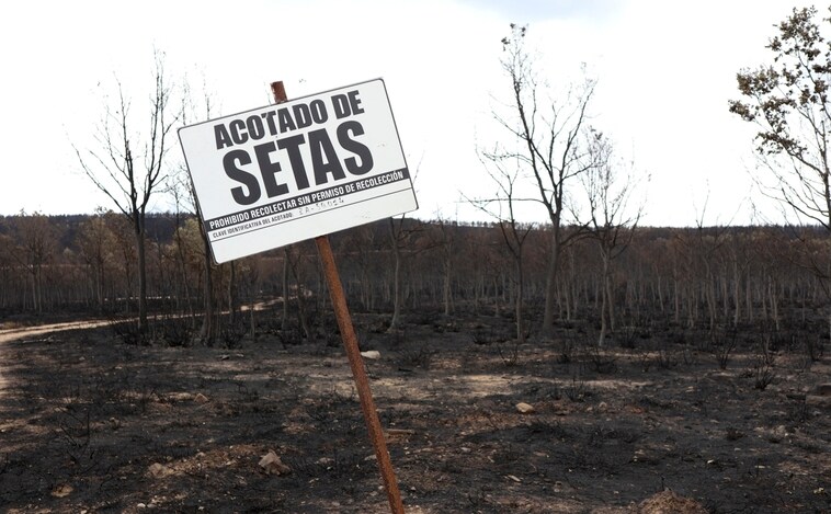 1.520 kilómetros en bici a favor de los afectados por el incendio de La Culebra