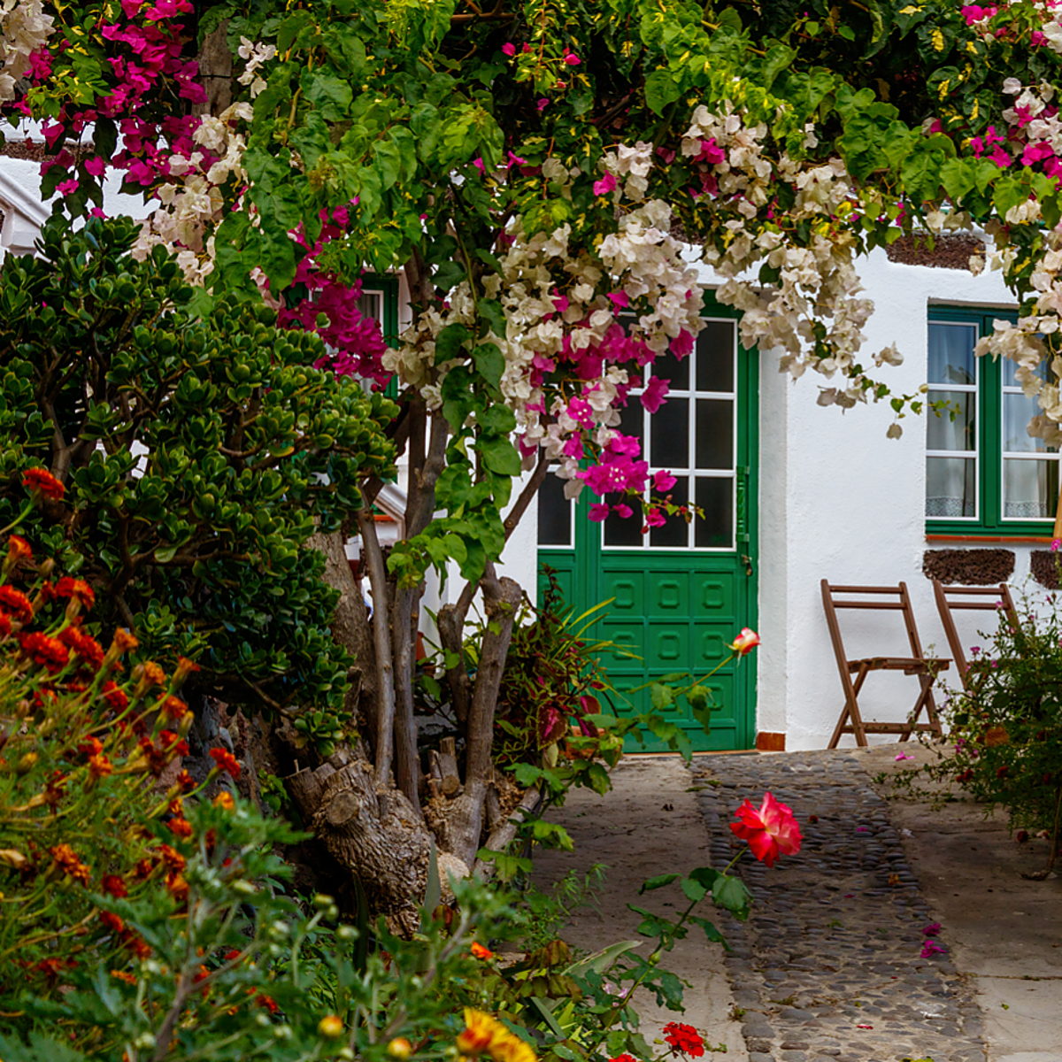 La Gomera y El Hierro son tendencia en un verano más rural