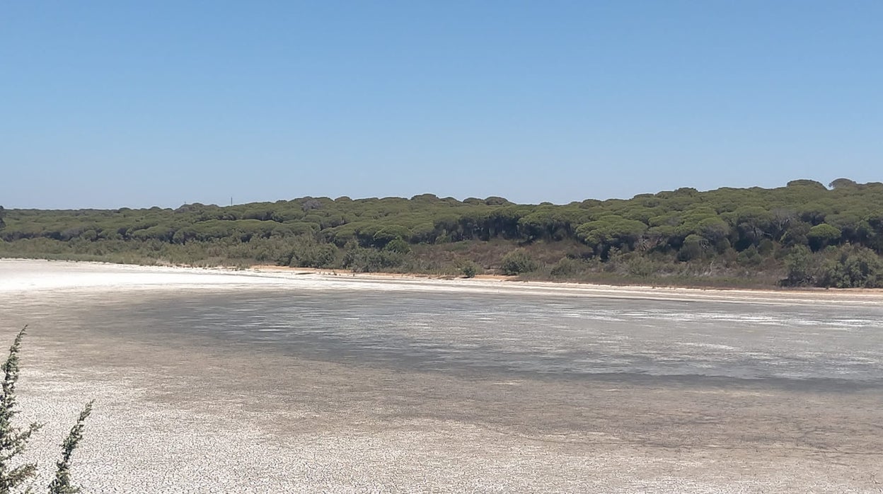 La laguna del Portil se seca en una imagen insólita que no ocurría desde hace más de una década