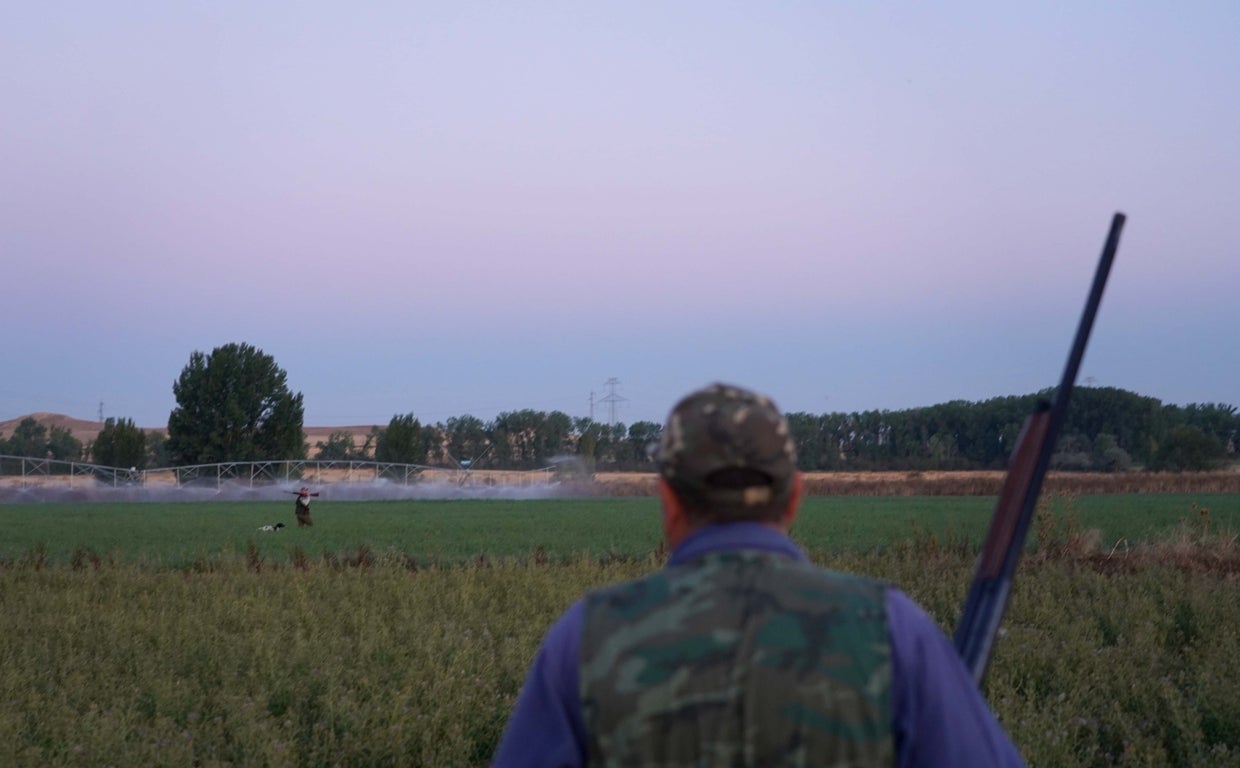 La media veda arranca el 15 de agosto en Castilla y León con malas perspectivas para los cazadores