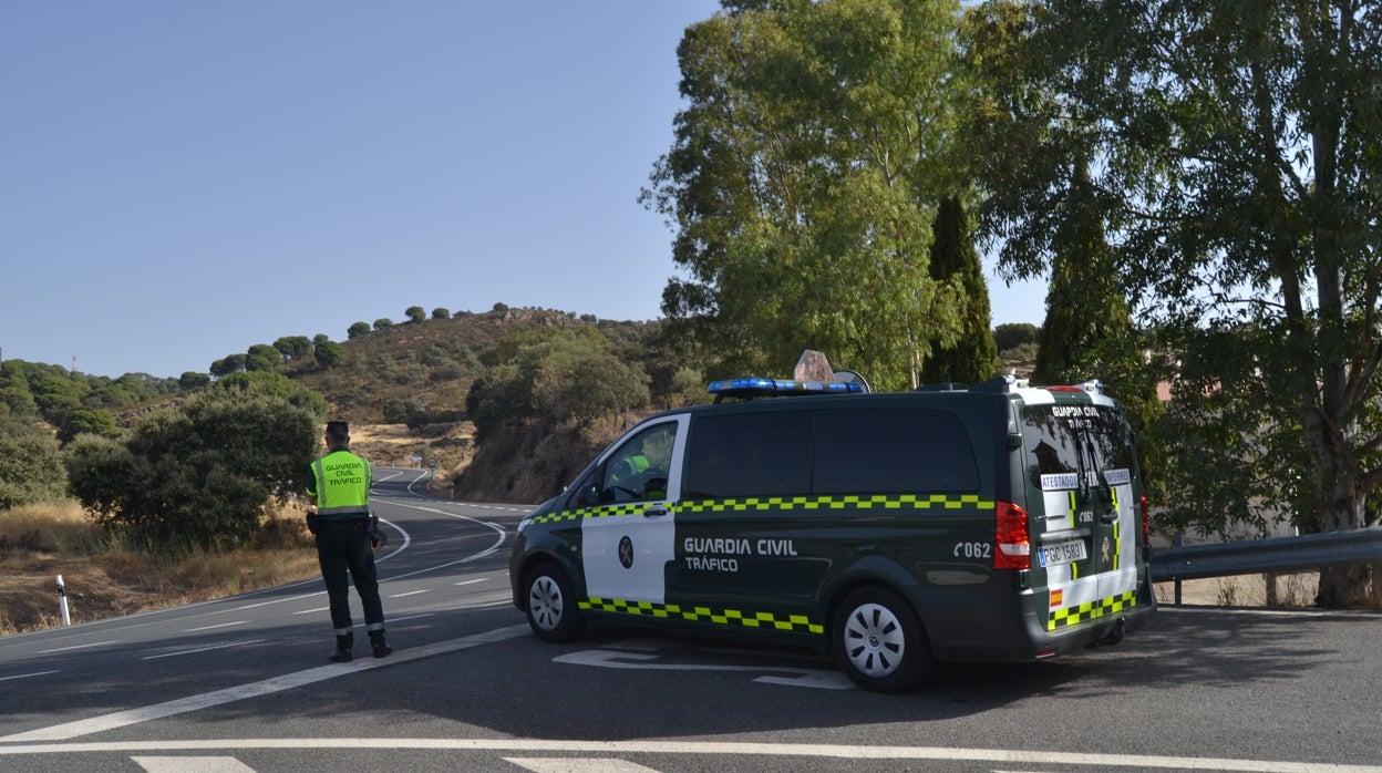 Pena de cárcel para la dueña de unas vacas que provocaron nueve accidentes de tráfico en Cerro Muriano