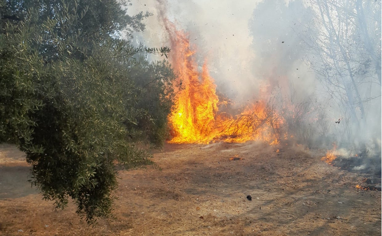 El fuego decretado en Cabra en la tarde del jueves