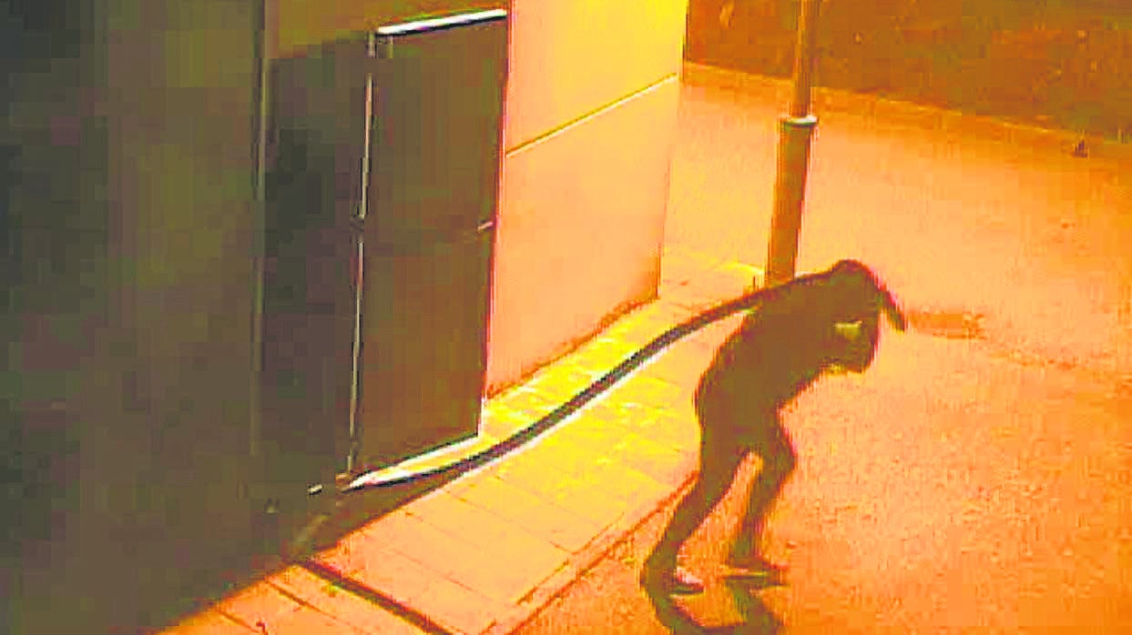 Un ladrón, captado llevándose 20.000 euros en cobre de una estación