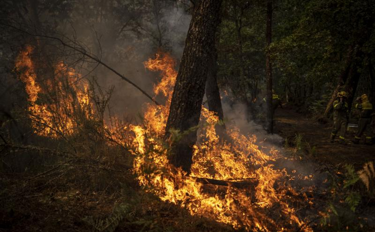 La Xunta ve «intencionalidad» en muchos de los incendios de agosto