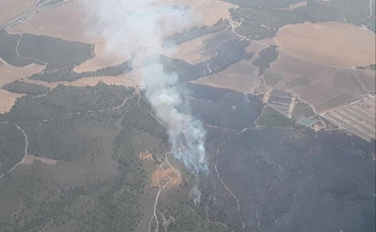 Más de 100 personas luchan contra un incendio en Hellín