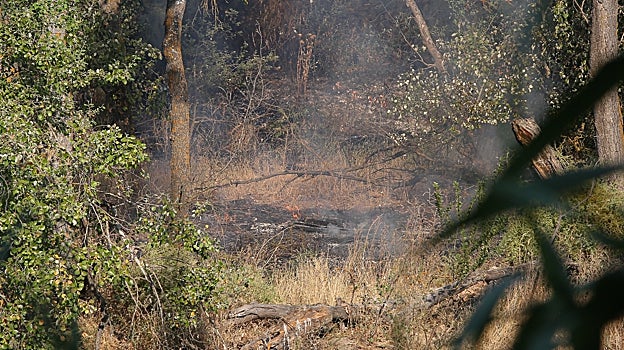 Aún pueden verse alguna llamas en el terreno