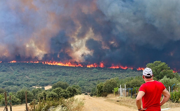 Fallece uno de los heridos en el fuego de Losacio (Zamora) tras un mes ingresado