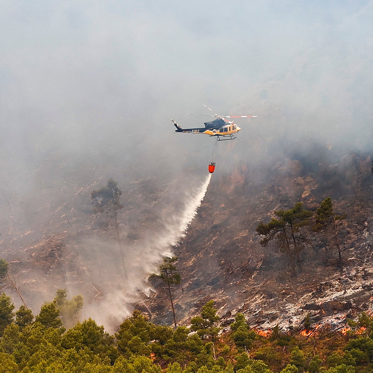 Incendio Bejís y Vall d'Ebo: última hora del fuego sin control en la Comunidad Valenciana