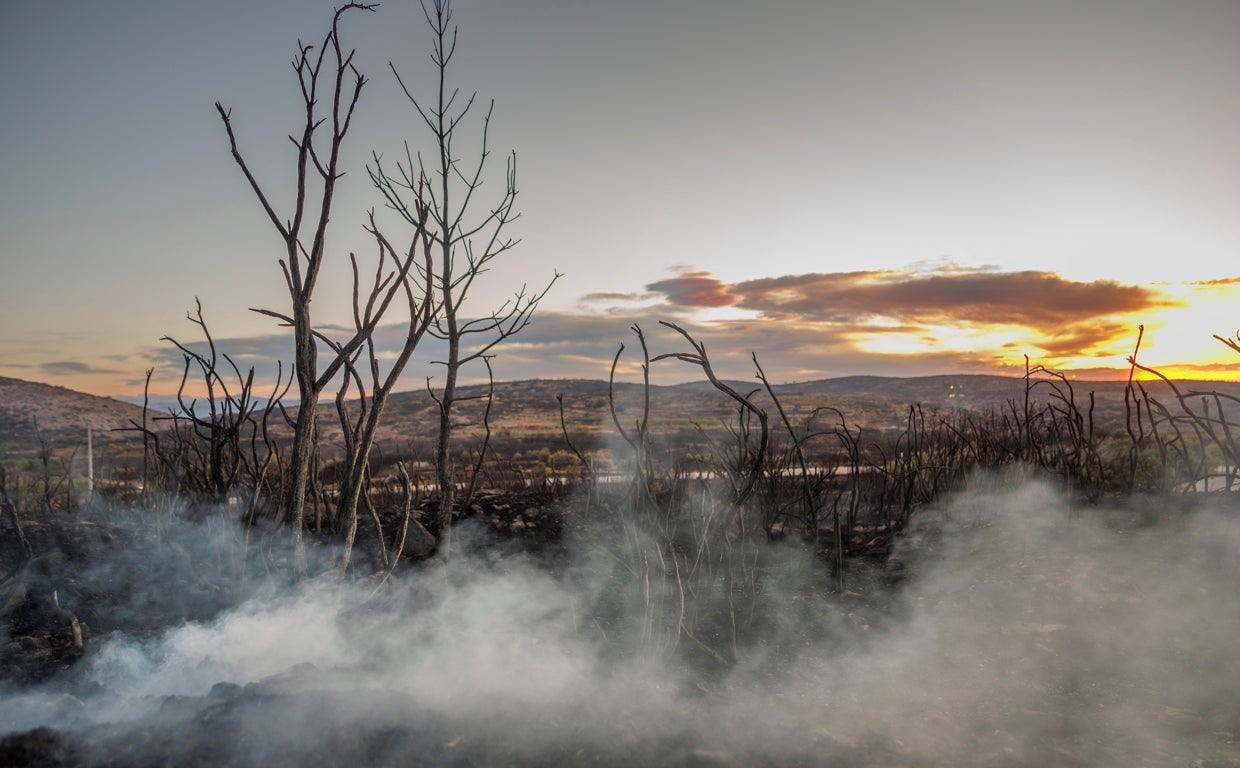 Imagen de la zona quemada por el incendio de Bejís en el término de Alcublas