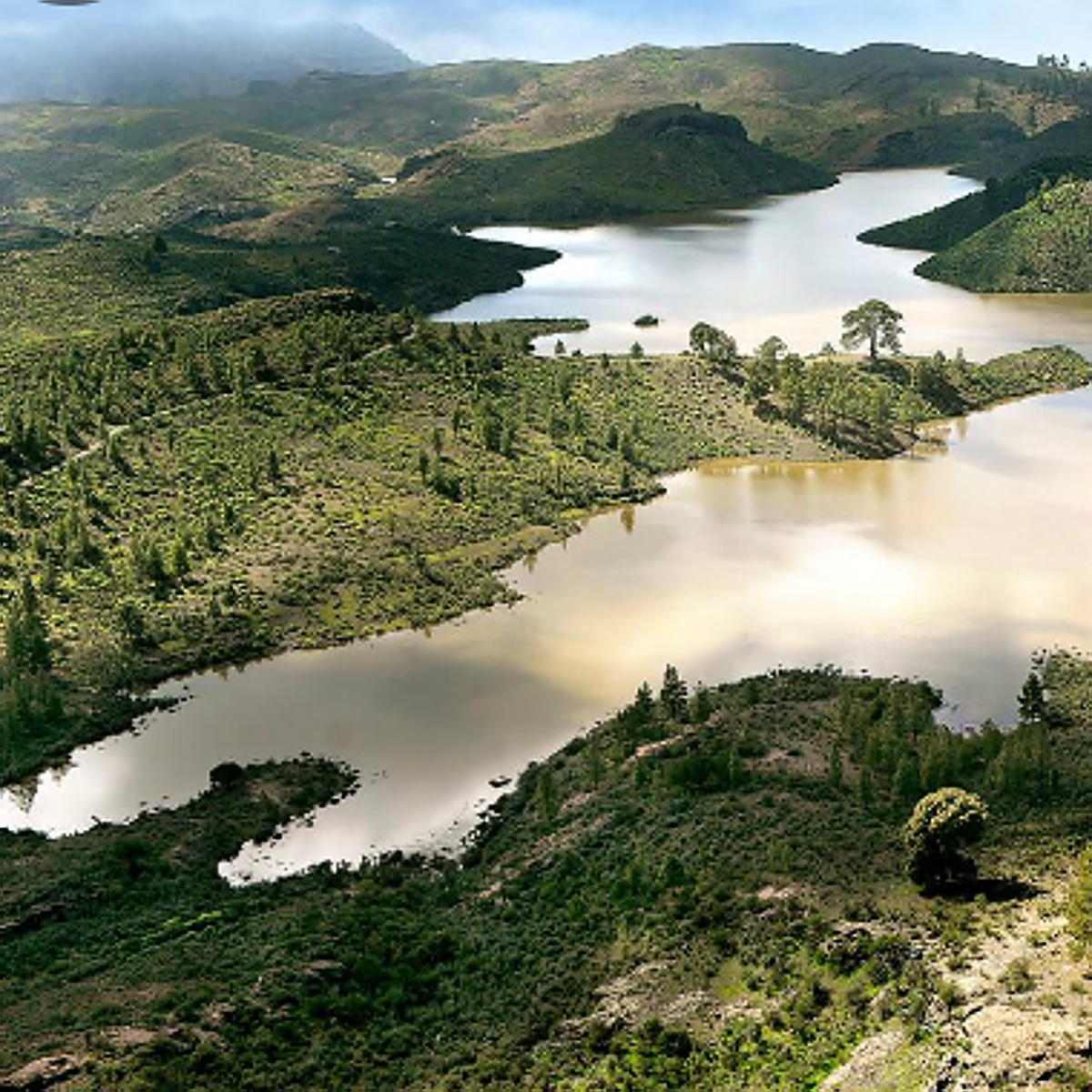 Canarias está a las puertas del 'colapso hídrico'