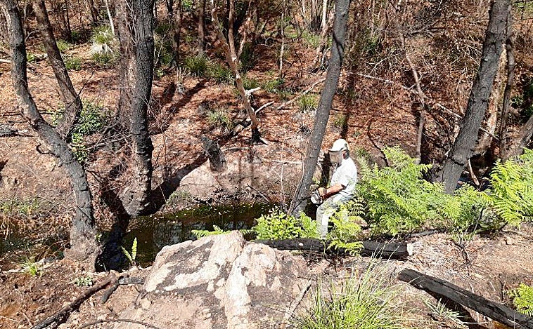 La Junta convoca nuevas ayudas para los afectados por los incendios