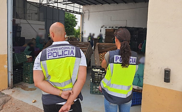 Cae en Alicante la red que explotaba a inmigrantes en el campo por menos de dos euros la hora y sin descansos para comer