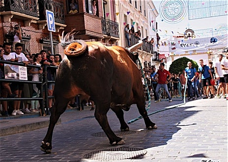 Imagen secundaria 1 - Imágenes del toro de cuerda este sábado en la Subbética