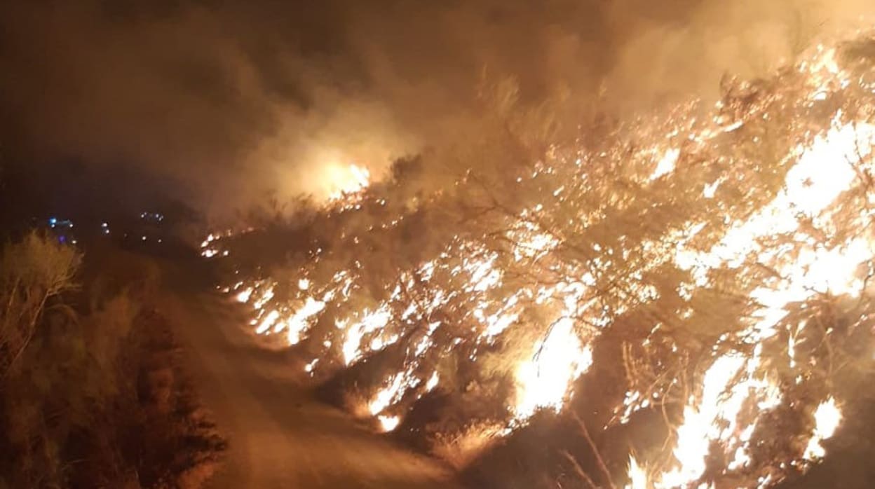 El Infoca da por extinguido el incendio forestal declarado en Casabermeja