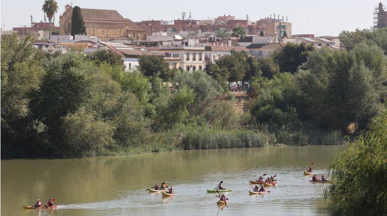 La jornada de piragua en Córdoba, en imágenes