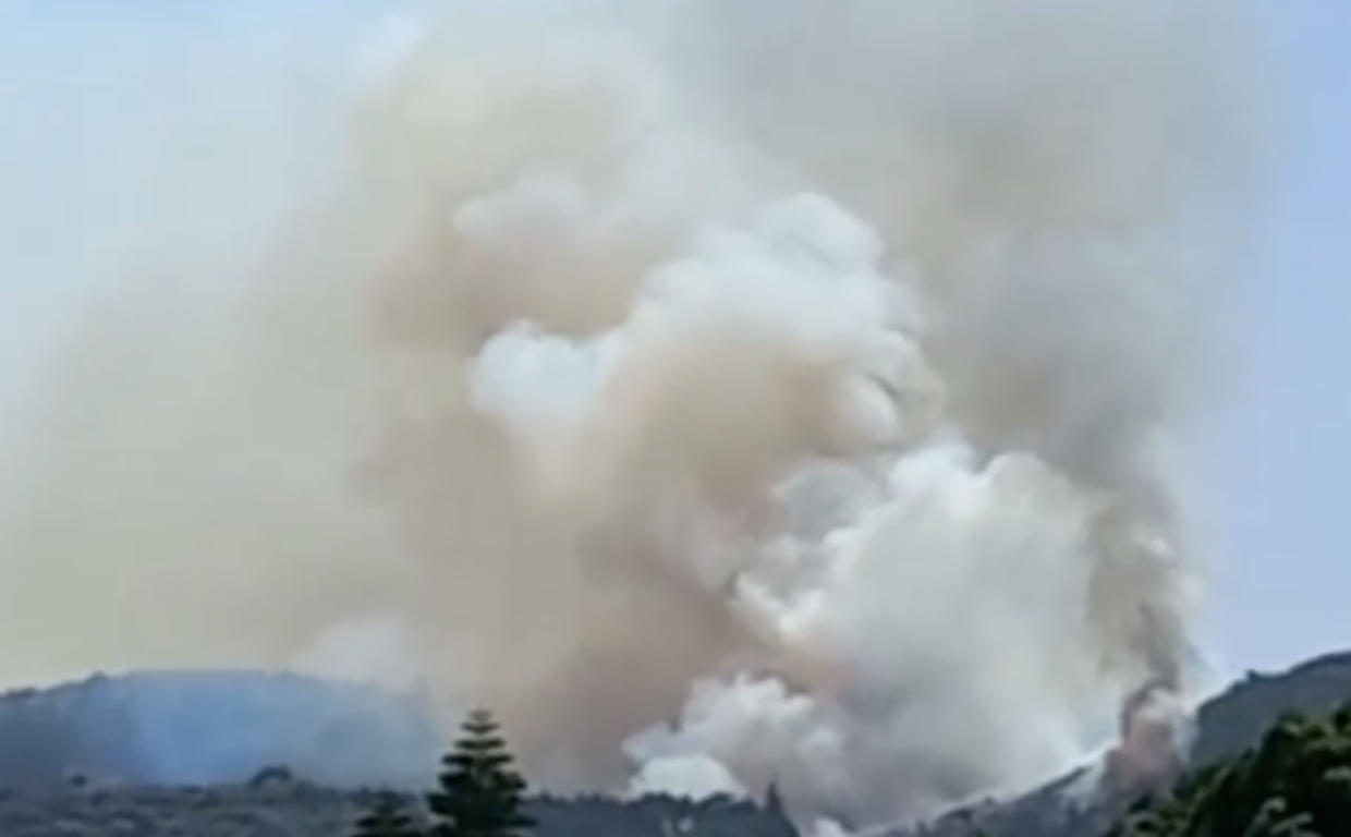 Columna de humo del incendio declarado en Camino Guillén