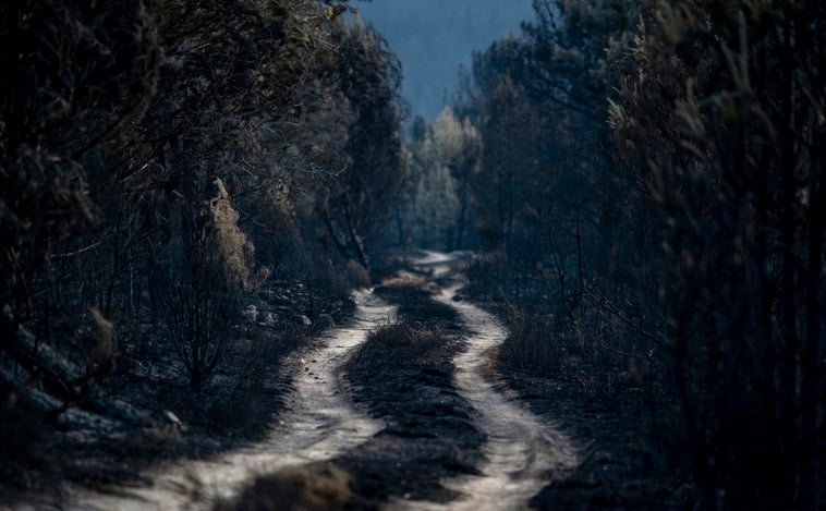 Extinguido el fuego de la sierra de la Culebra después de más de dos meses