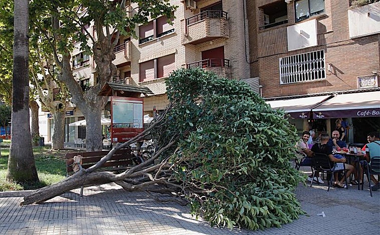 Tormentas y vientos de más de 110 kms/hora siembran el caos de noche en el interior de Valencia y causan accidentes de tráfico