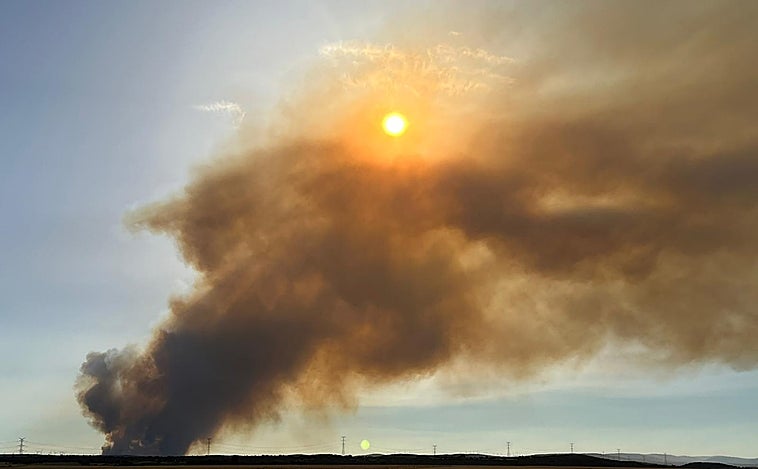 Detenido el pirómano acusado de prender varios fuegos en Zamora durante la segunda quincena de agosto