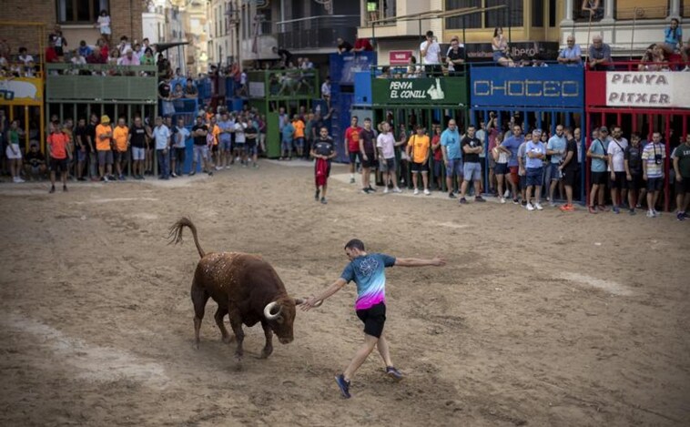 Investigan la muerte de dos toros durante las fiestas de la localidad valenciana de Alcàsser