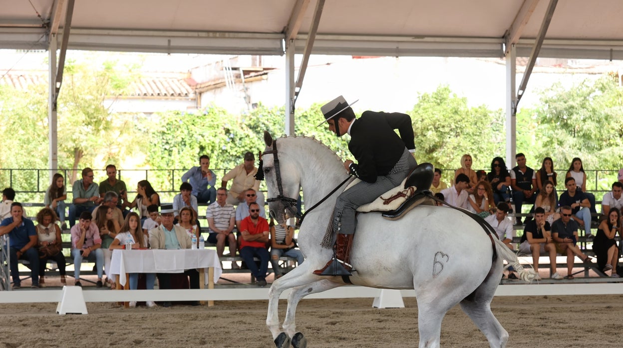 En imágenes, la IV Copa de España de Doma Vaquera en Córdoba