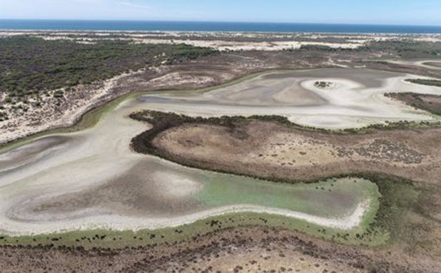 La última laguna permanente de Doñana se seca por la sequía y la sobreexplotación de acuíferos