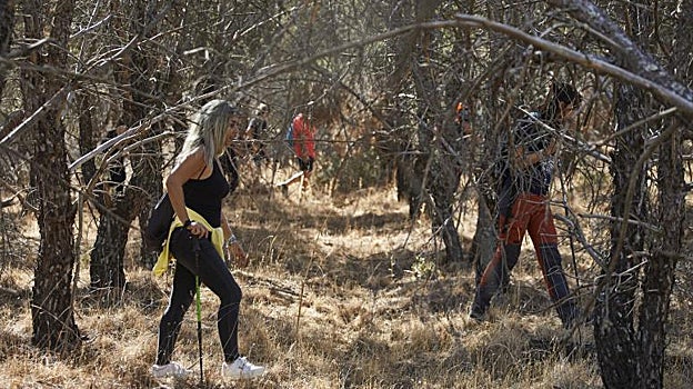 Grupos de voluntarios peinan la zona entre Navalcarnero y Calypo Fado