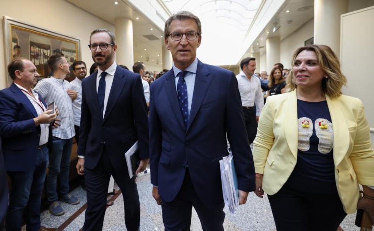 Alberto Núñez Feijóo, con Javier Maroto y Amelia Salanueva, a su llegada al Pleno del Senado