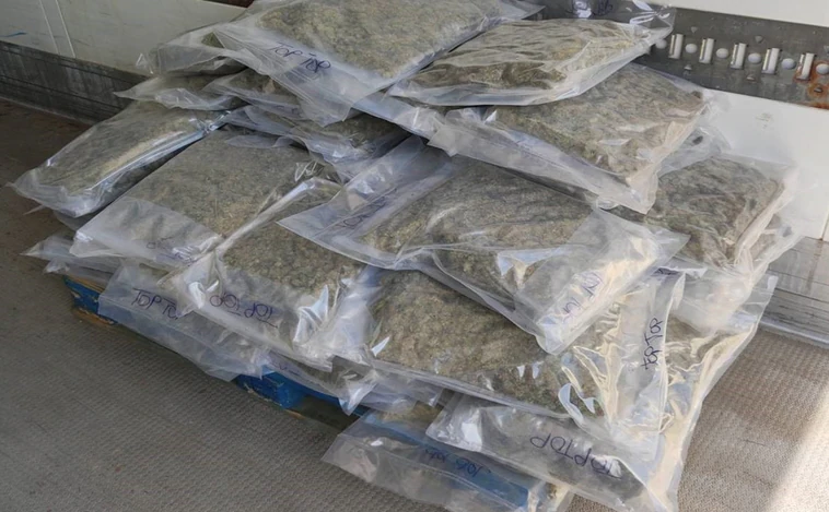 Varios robos en una tienda de jardinería llevan a la incautación de 233 kilos de marihuana