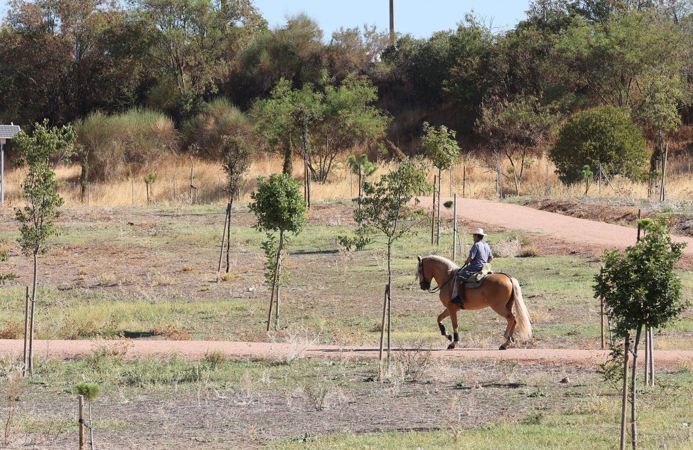 La evolución del nuevo parque de Levante de Córdoba, en imágenes