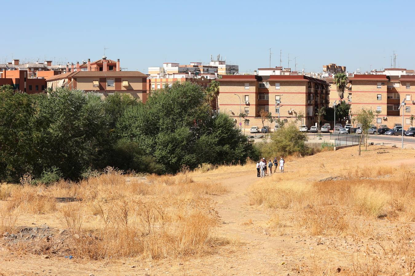 La evolución del nuevo parque de Levante de Córdoba, en imágenes