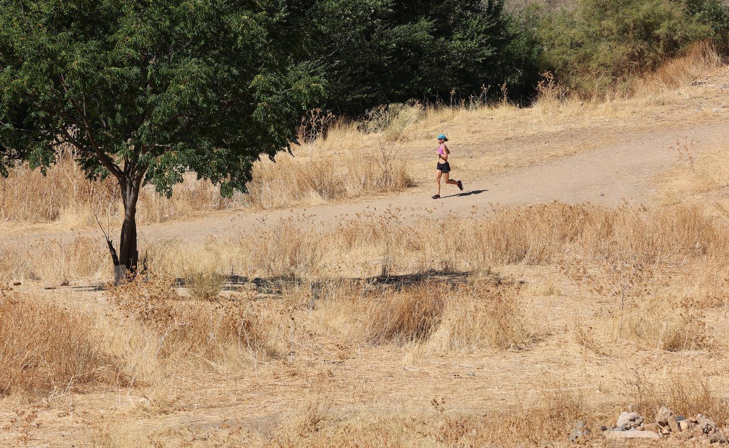 La evolución del nuevo parque de Levante de Córdoba, en imágenes