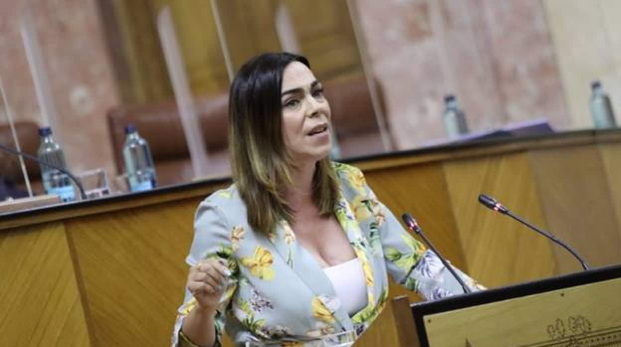 El PP repesca a la exportavoz de Ciudadanos en el Parlamento andaluz como delegada de Justicia en Málaga