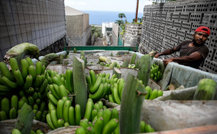 Empresarios de La Palma advierten que la economía de la isla está «en un agujero»