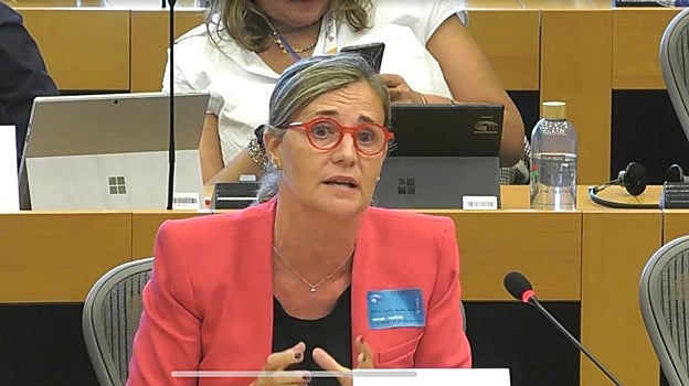 La portavoz adjunta del PP en las Cortes Valencianas, Elena Bastida, durante su intervención en Bruselas, este jueves