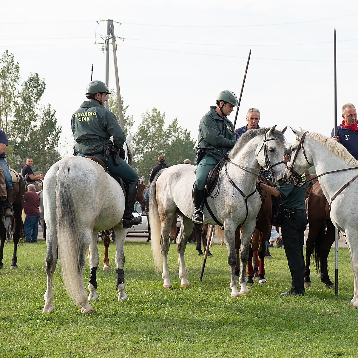 La Mesa de la Tauromaquia de Castilla y León dio en junio su visto bueno al 'nuevo' Torneo de la Vega