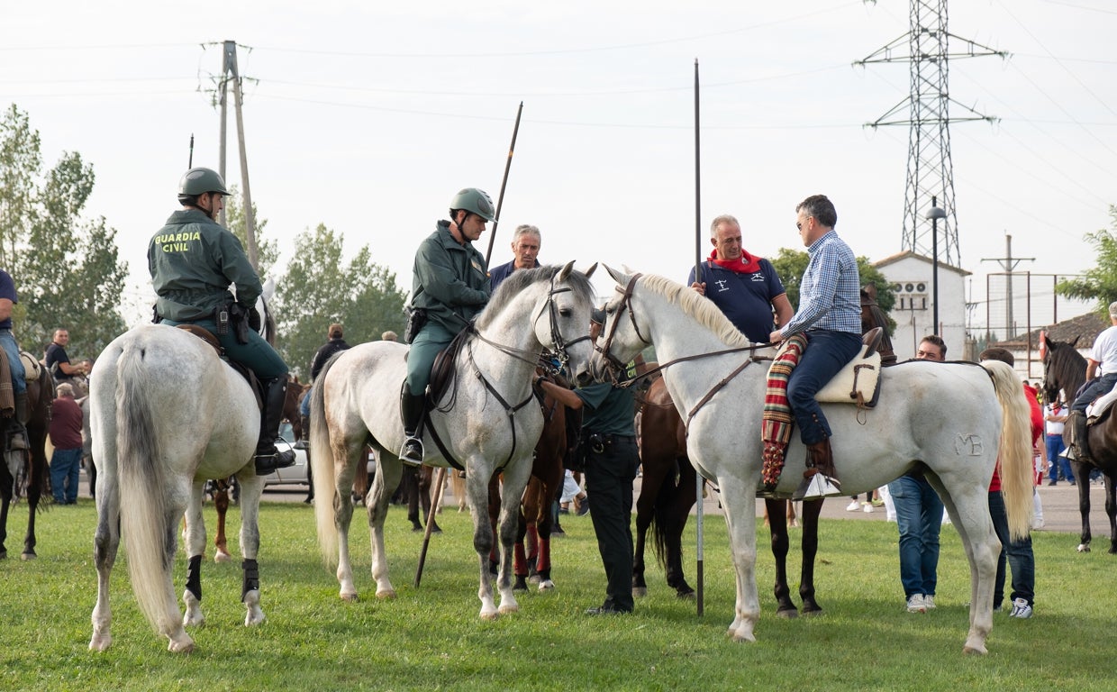 Celebración del torneo del Toro de la Vega en Tordesillas en 2019