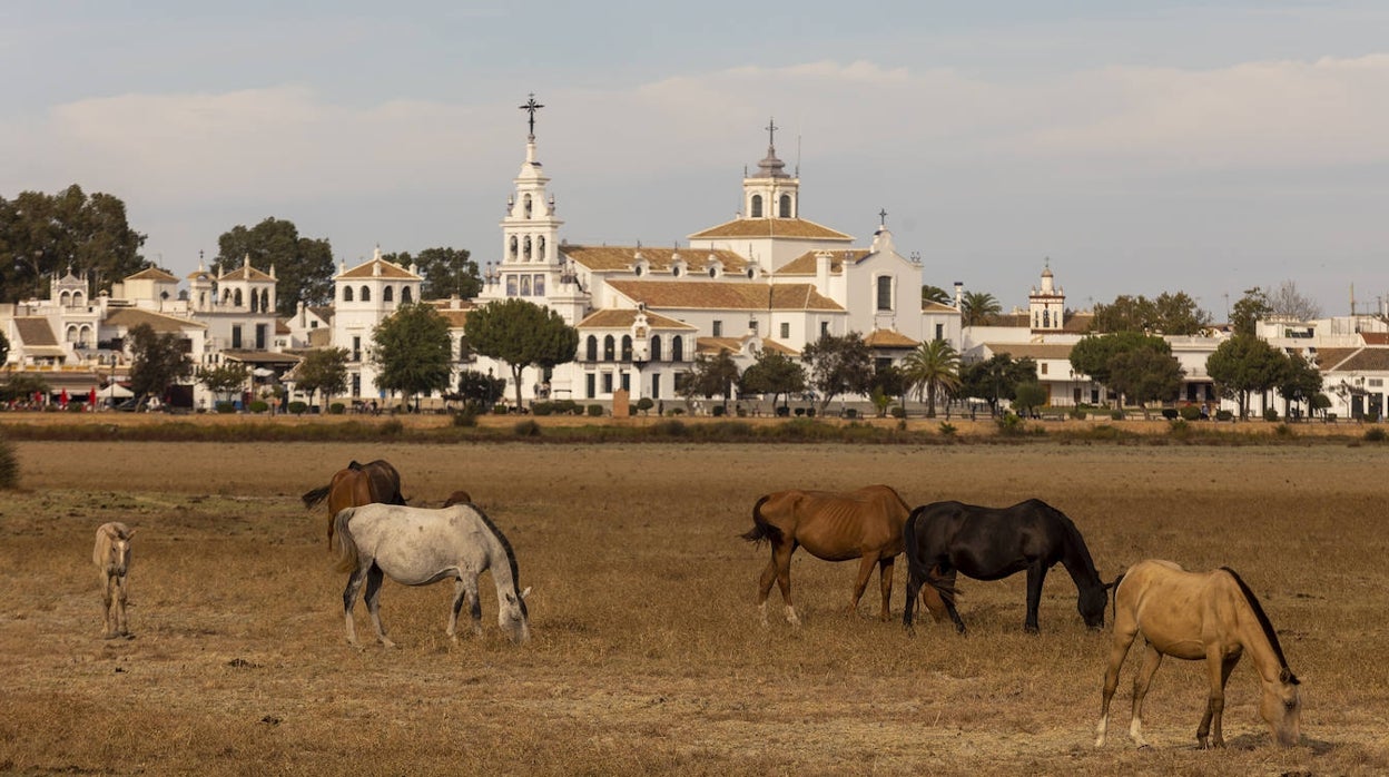 Doñana marca la gravedad de la sequía