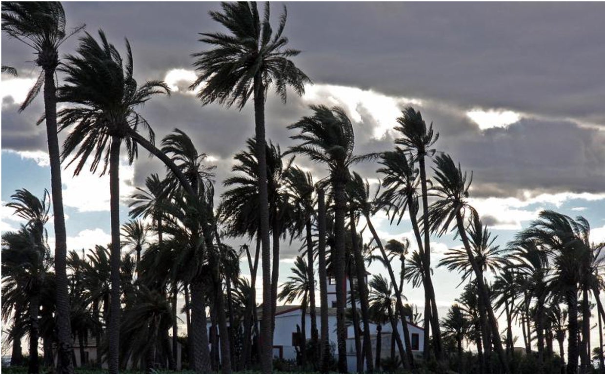 Una vivienda en la pedanía ilicitana de La Hoya