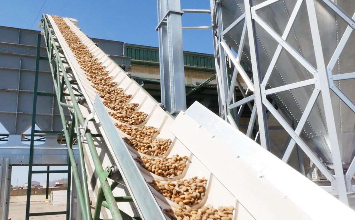 Planta de tratamiento de almendras de la cooperativa Dcoop