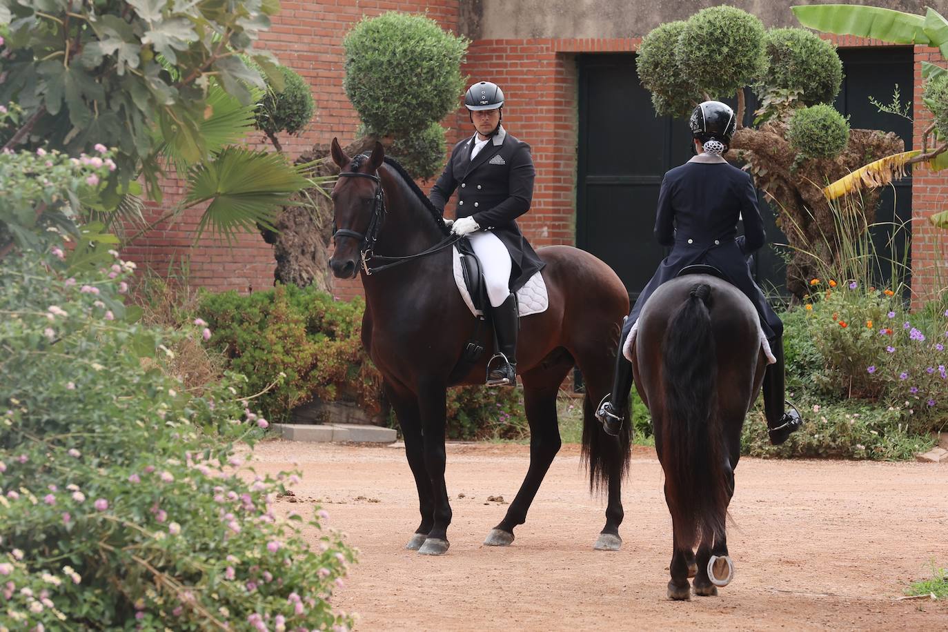 El Concurso Nacional de Doma Clásica de Córdoba, en imágenes